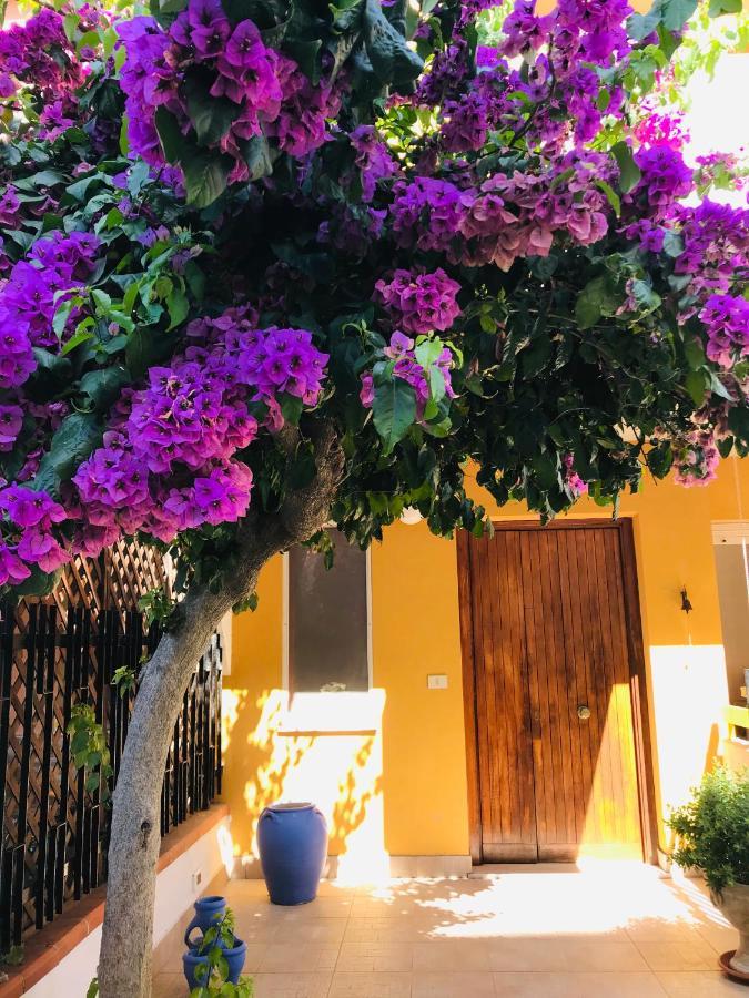 Le Stanze Di Botticelli Bed & Breakfast Termoli Luaran gambar